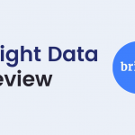 bright data review pros cons
