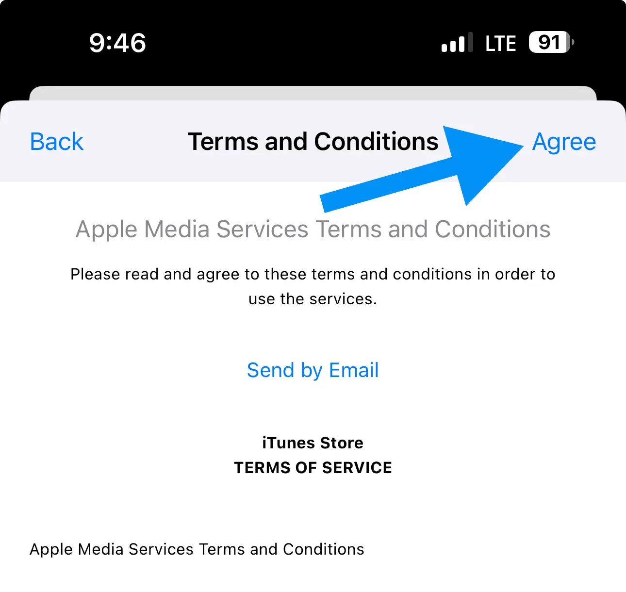 Agree the Appstore Terms and Conditions to Install Capcut